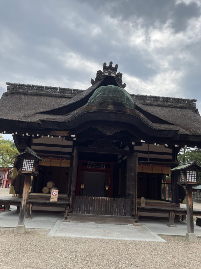 Daini hongu