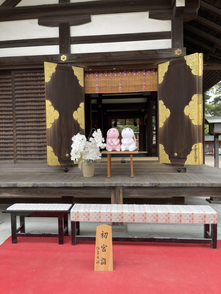 Daini hongu