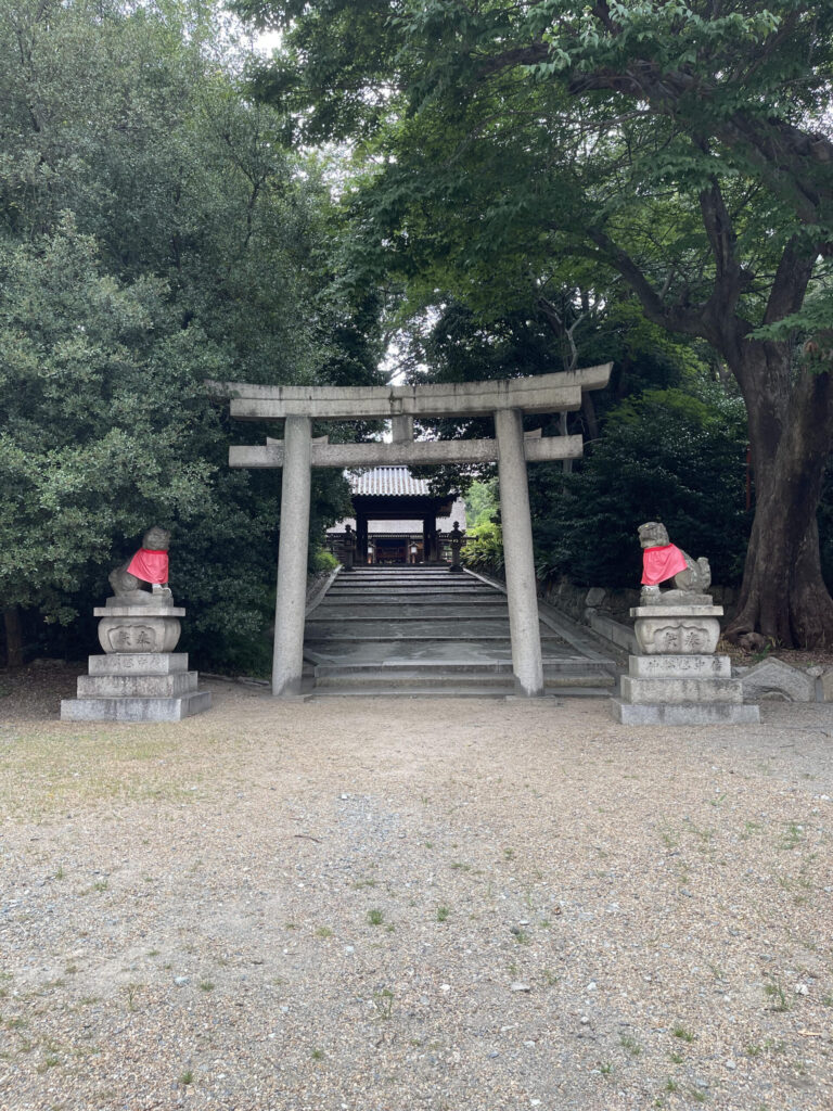 Oumi Shrine Torii